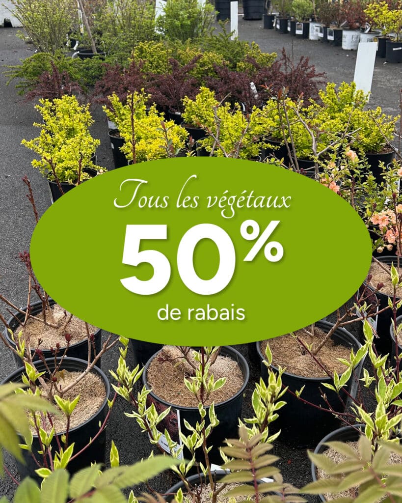 rabais-moitie-prix